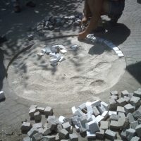 sansebastiano (4)